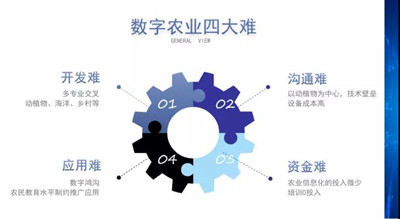 周秋平：数字农业开发难，沟通难，推广难，资金难